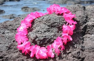Pink Lei